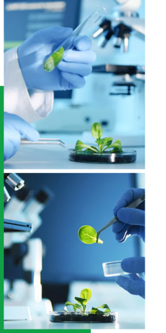 創(chuàng)新驅(qū)動(dòng)，智領(lǐng)未來——我們的企業(yè)簡介