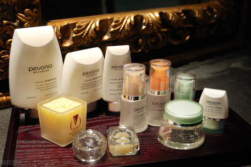 網紅同款化妝品與衛生用品批發指南